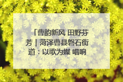 曹韵新风 田野芬芳｜菏泽曹县磐石街道：以歌为媒 唱响乡土“新歌声”