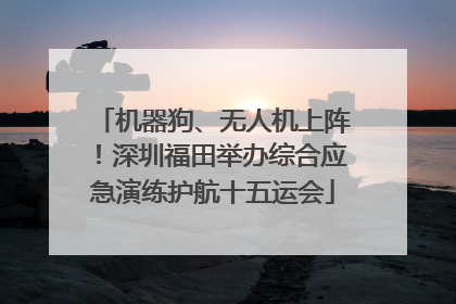 机器狗、无人机上阵！深圳福田举办综合应急演练护航十五运会