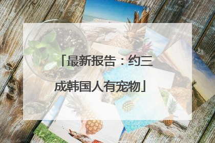 最新报告：约三成韩国人有宠物