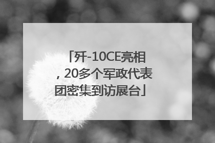 歼-10CE亮相，20多个军政代表团密集到访展台