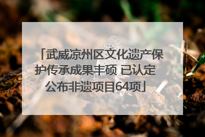 武威凉州区文化遗产保护传承成果丰硕 已认定公布非遗项目64项