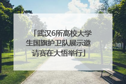 武汉6所高校大学生国旗护卫队展示邀请赛在大悟举行