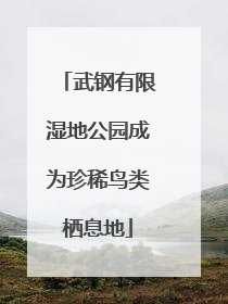 武钢有限湿地公园成为珍稀鸟类栖息地
