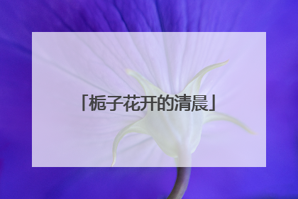 栀子花开的清晨