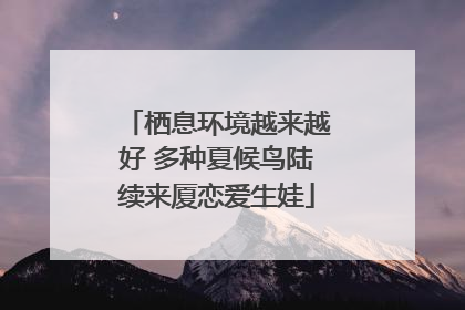 栖息环境越来越好 多种夏候鸟陆续来厦恋爱生娃