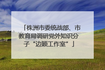 株洲市委统战部、市教育局调研党外知识分子“边颖工作室”