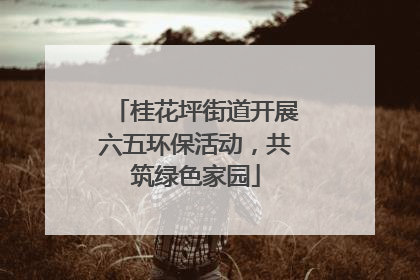 桂花坪街道开展六五环保活动，共筑绿色家园