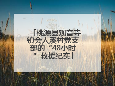 桃源县观音寺镇会人溪村党支部的“48小时”救援纪实