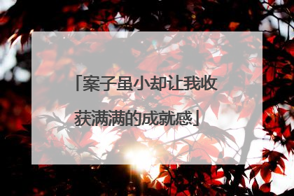 案子虽小却让我收获满满的成就感