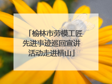 榆林市劳模工匠先进事迹巡回宣讲活动走进横山