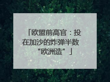 欧盟前高官：投在加沙的炸弹半数“欧洲造”