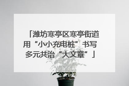 潍坊寒亭区寒亭街道用“小小充电桩”书写多元共治“大文章”