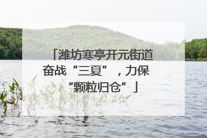 潍坊寒亭开元街道奋战“三夏”，力保“颗粒归仓”