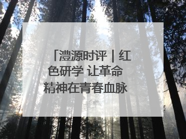 澧源时评｜红色研学 让革命精神在青春血脉中永续传承