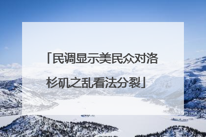 民调显示美民众对洛杉矶之乱看法分裂