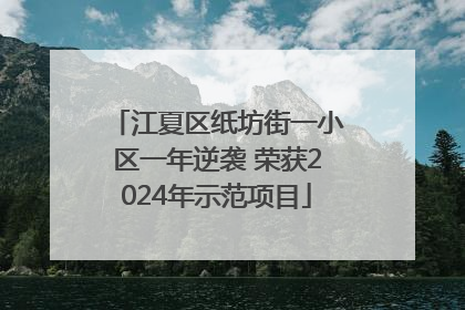江夏区纸坊街一小区一年逆袭 荣获2024年示范项目