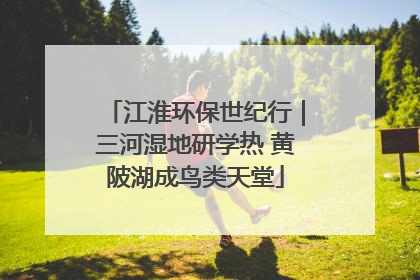 江淮环保世纪行｜三河湿地研学热 黄陂湖成鸟类天堂