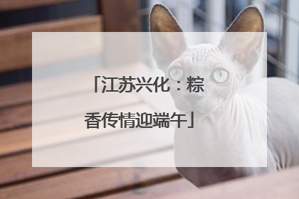 江苏兴化：粽香传情迎端午