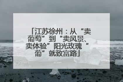 江苏徐州：从“卖葡萄”到“卖风景、卖体验”阳光玫瑰“葡”就致富路
