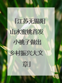 江苏无锡阳山水蜜桃首发 小桃子做出乡村振兴大文章