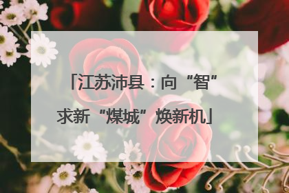 江苏沛县：向“智”求新“煤城”焕新机