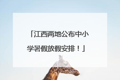 江西两地公布中小学暑假放假安排！