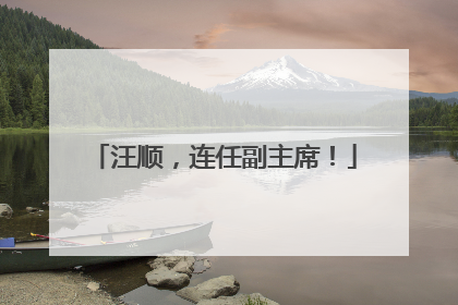汪顺，连任副主席！