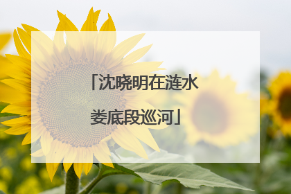 沈晓明在涟水娄底段巡河