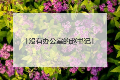 没有办公室的赵书记