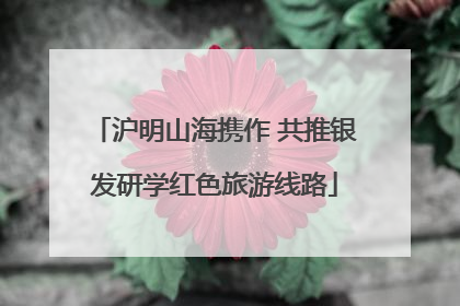 沪明山海携作 共推银发研学红色旅游线路