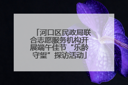 河口区民政局联合志愿服务机构开展端午佳节“乐龄守望”探访活动