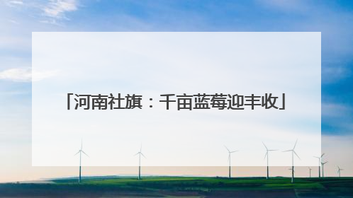 河南社旗：千亩蓝莓迎丰收