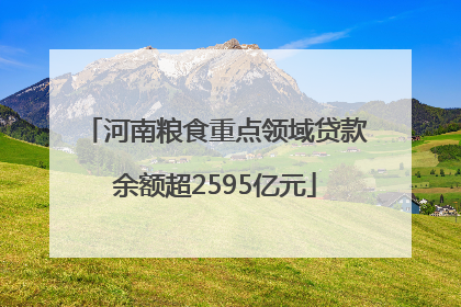 河南粮食重点领域贷款余额超2595亿元