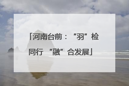 河南台前：“羽”检同行 “融”合发展