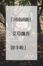 河南南阳：艾草飘香迎丰收