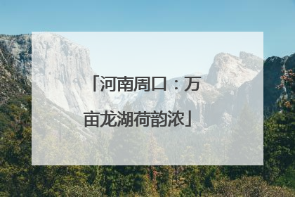 河南周口：万亩龙湖荷韵浓