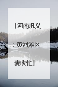 河南巩义：黄河滩区麦收忙