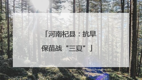 河南杞县：抗旱保苗战“三夏”