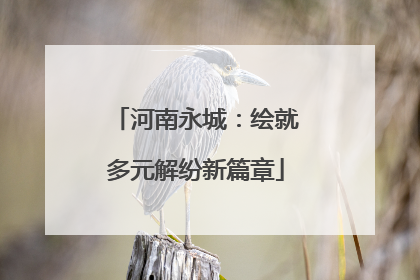 河南永城：绘就多元解纷新篇章