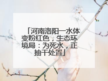 河南洛阳一水体变粉红色，生态环境局：为死水，正抽干处置