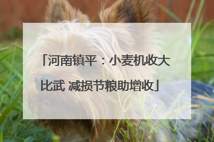 河南镇平：小麦机收大比武 减损节粮助增收