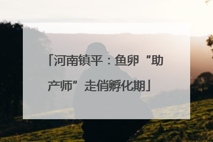河南镇平：鱼卵“助产师”走俏孵化期