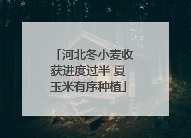 河北冬小麦收获进度过半 夏玉米有序种植