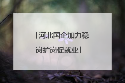 河北国企加力稳岗扩岗促就业