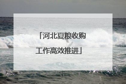 河北夏粮收购工作高效推进