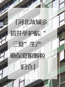 河北故城多措并举护航“三夏”生产 确保夏粮颗粒归仓