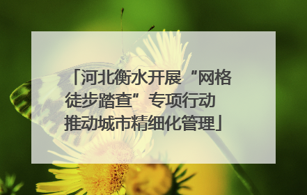 河北衡水开展“网格徒步踏查”专项行动 推动城市精细化管理