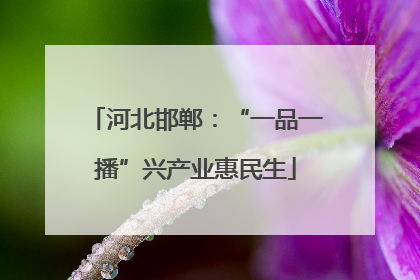 河北邯郸：“一品一播”兴产业惠民生
