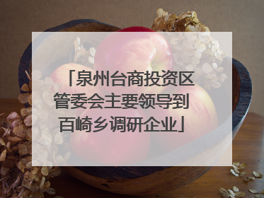 泉州台商投资区管委会主要领导到百崎乡调研企业