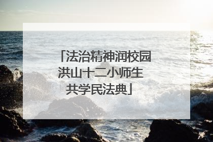 法治精神润校园 洪山十二小师生共学民法典